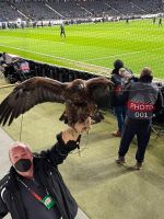 8774d070 66b3 44ea 80b2 6c1e592f2c98